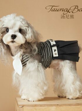 汤尼熊女狗狗衣服春夏款连衣裙雪纳瑞泰迪比熊马尔济斯约克夏博美