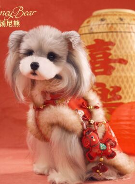 汤尼熊狗狗衣服秋冬新年款雪纳瑞泰迪比熊约克夏红色喜庆小马唐装