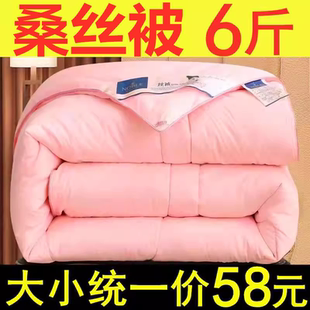 长丝被100%正品 夏凉被双人春秋被子棉被芯冬被单人宿舍 空调被夏季