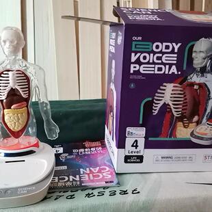 科学罐头人体解剖模型器官可拆卸儿童教学玩具我们的身体语音百科
