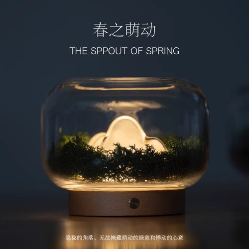 创意暖山氛围灯充电小夜灯卧室床头香薰灯小鱼缸台灯摆件生日礼物