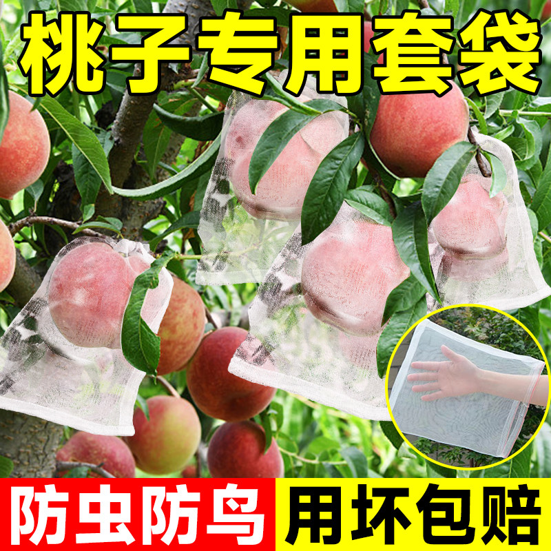 桃子套袋防鸟防虫专用网袋鹰嘴桃水蜜桃冬桃蟠桃黄桃果树套袋神器