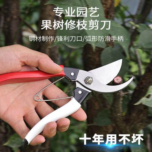 果树剪刀修枝神器园艺修剪剪枝剪树剪花卉枝剪刀园林绿化嫁接摘果