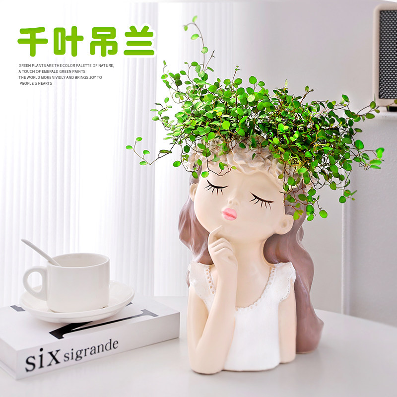 千叶吊兰盆栽观叶植物垂吊绿植蛋糕点缀面包烘焙糕点装饰鲜花花卉