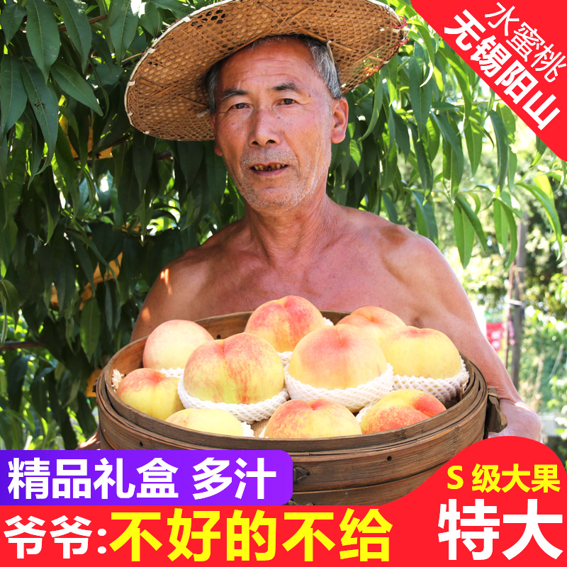 正宗无锡阳山水蜜桃7-8两6个超大软桃子新鲜现季水果阳山湖景