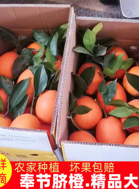 重庆奉节脐橙当季新鲜孕妇水果20斤福本现摘手剥甜橙子10斤大果