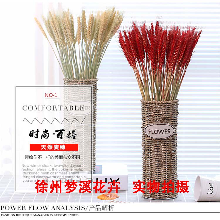 天然麦穗干花小麦麦子花束开业大麦客厅田园装饰拍摄道具插花摆件在类目 鲜花速递/花卉仿真/绿植园艺, 永生花/干花, 干花中 - 来自Buy2taobao.com提供专业的淘宝代购服务
