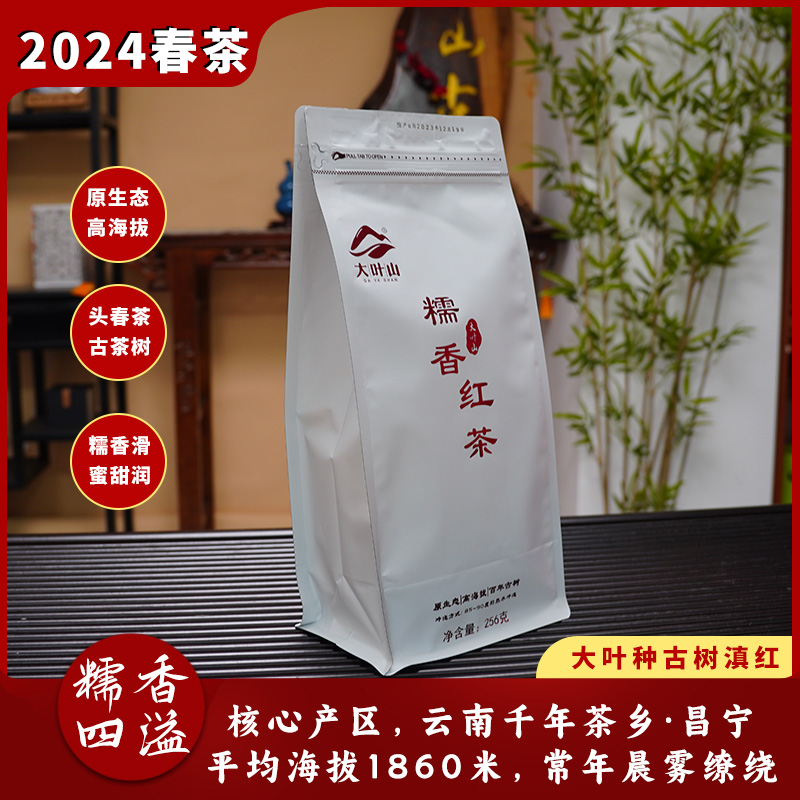 云南昌寧大葉山頭春糯香紅茶高山原生態(tài)古樹滇紅2024蜜甜耐泡春茶