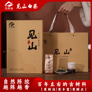 云南昌宁大叶山见山白茶原生态古树茶传统工艺日光晒兰香蜜甜茶叶