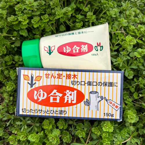 剪枝嫁接植物伤口愈合剂