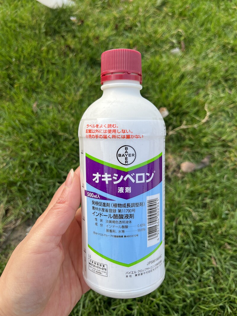 日本拜耳生根水 生桩发根 根块多肉促进生根发芽 兑水泡根 浇灌