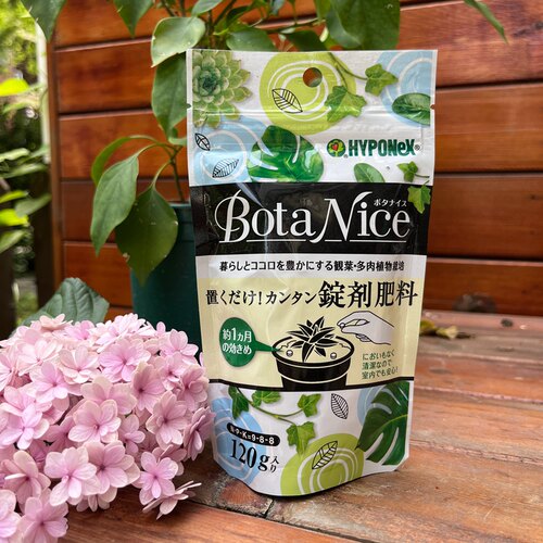 蜜家观叶海芋白锦龟背竹绿天鹅绒锦多肉带锦十二缓释肥日本花宝 - 封面