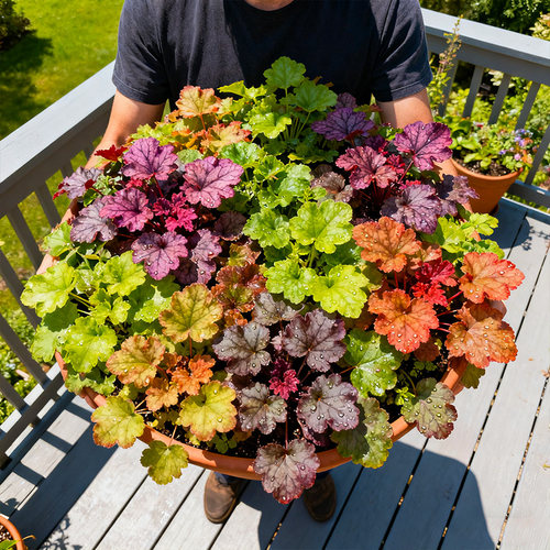 硫酸根绿植盆栽组合耐寒四季观叶