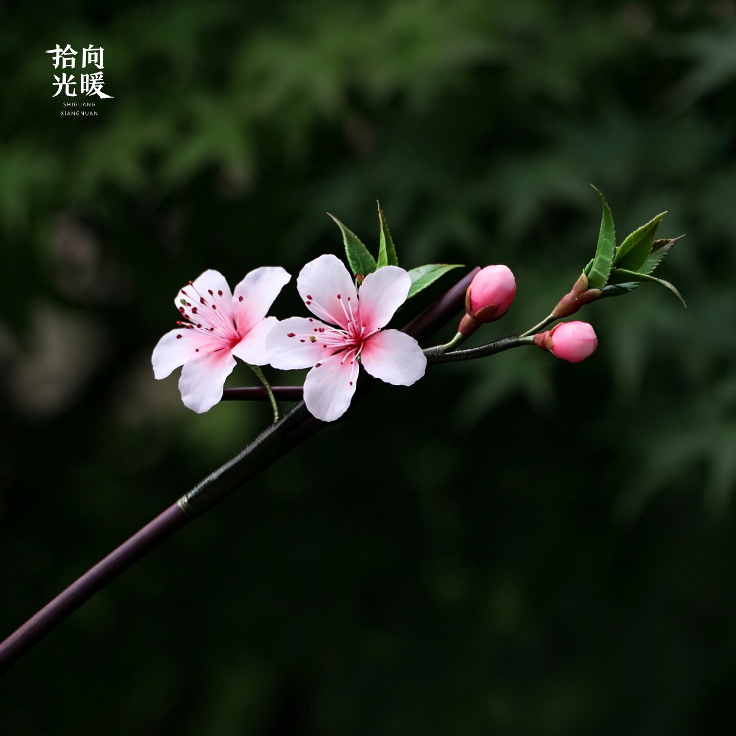 拾光向暖桃花竹枝手工汉服发簪