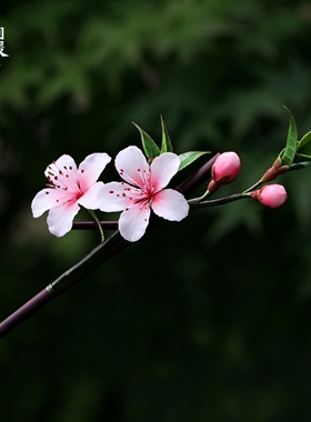 拾光向暖桃花竹枝手工汉服发簪