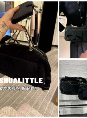 Poresl03/26 两个尺寸！26s新款丝绒单肩包