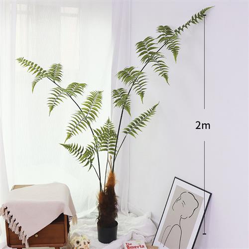 仿真盆栽禅意造景落地猴头蕨类盆景室内装饰假树仿真绿植