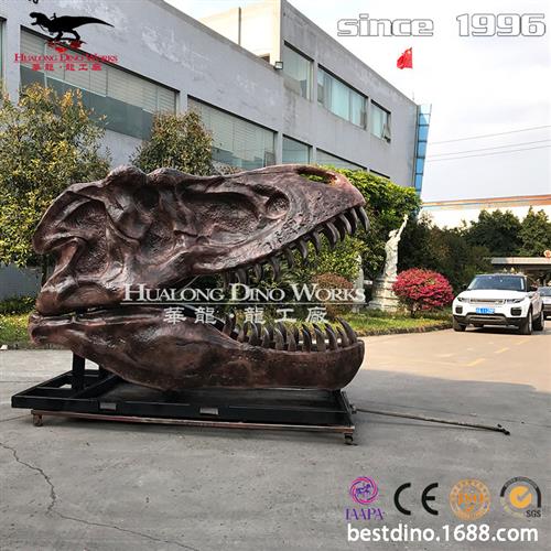 霸王龙头骨化石模型玻璃钢材质地质博物馆景区美陈引流研学模型