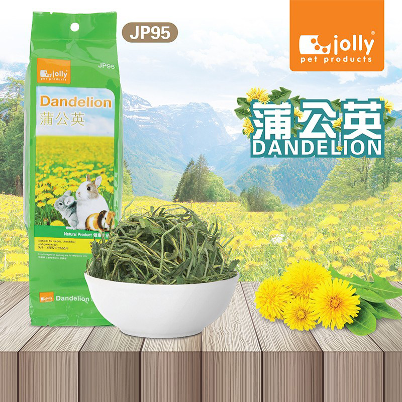 龙猫磨牙零食蔬菜苹果干胡罗卜干豚鼠兔子荷兰猪磨牙棒咬木枝组合