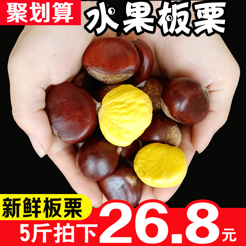 新鲜生板栗大毛栗子小锥栗农家现摘净重5斤装批发野生油栗粟包邮在类目 水产肉类/新鲜蔬果/熟食, 新鲜蔬菜/蔬菜制品, 新鲜蔬菜, 新鲜板栗中 - 来自Buy2taobao.com提供专业的淘宝代购服务