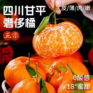 新鲜甘平柑橘当季水果现摘砂糖柑橘时令冰糖蜜橘甜桔大果整箱包邮