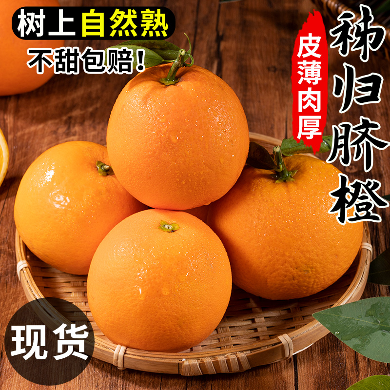 爆汁纯甜秭归脐橙纽荷尔