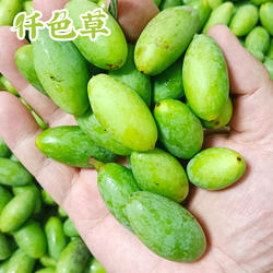 新鲜青果四川合江18982461688