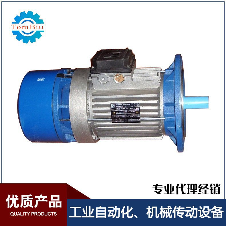 风能偏航电机MGM BA100LA4 2.2KW 400/690V1415RPM三相异步电动机-封面