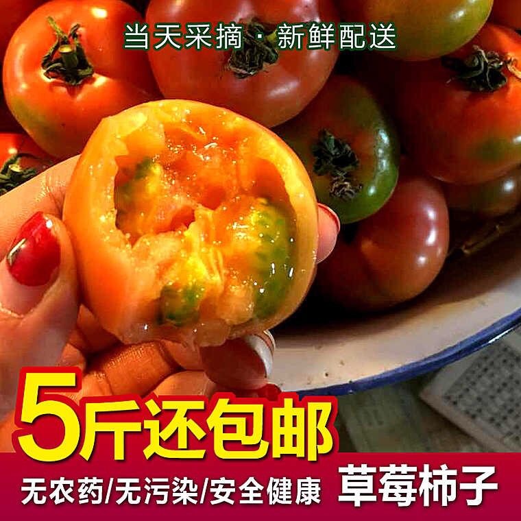 丹东东港特产精品油柿子草莓柿子脆皮柿子铁皮柿子甜柿子共5斤