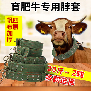 牛羊用项圈羊脖套颈脖子圈笼龙头龙套栓拴牛用的皮带养牛场特大号