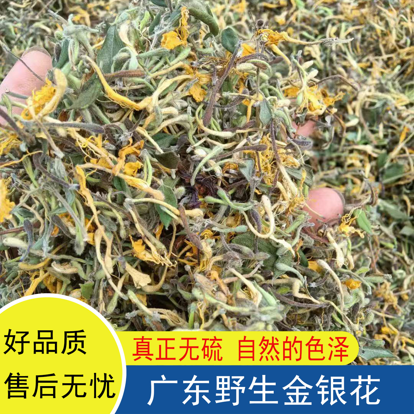 自采野生金银花带绒毛山银花干
