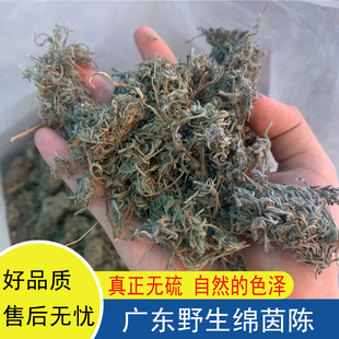广东野生绵茵陈棉茵陈草无硫干货白蒿煲汤泡水绒蒿天然泡茶茵陈蒿