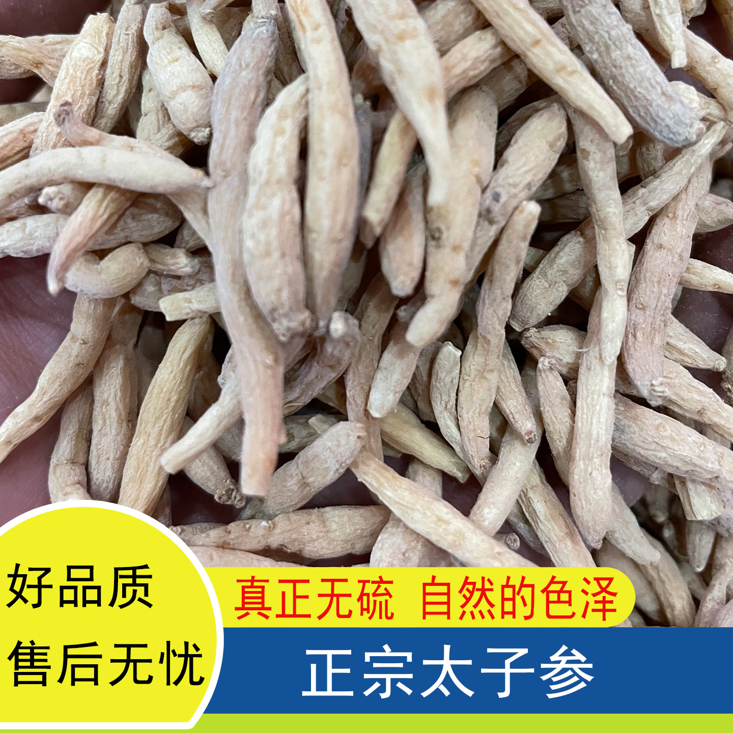 正宗福建太子参干货无硫新货广东煲汤材料无添加天然晒干500g泡水