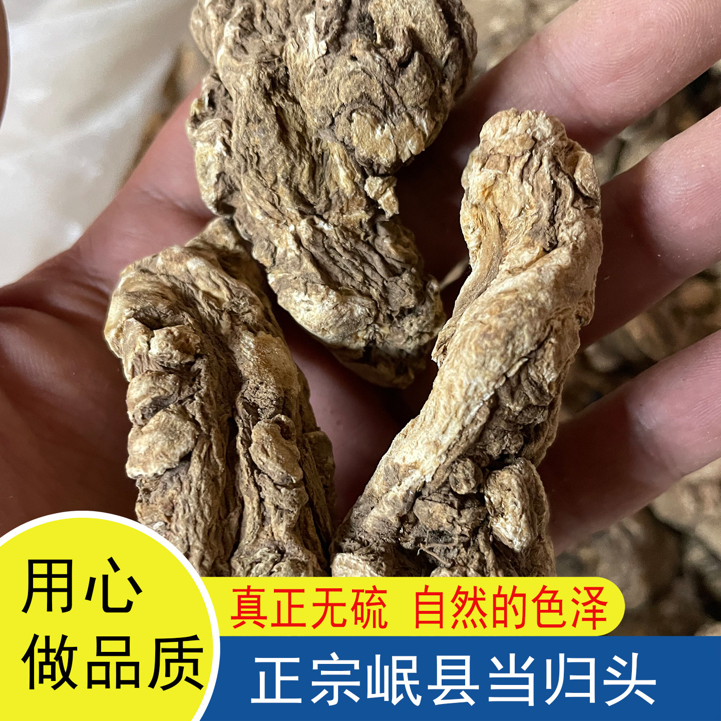 正宗甘肃岷县当归头无硫500g