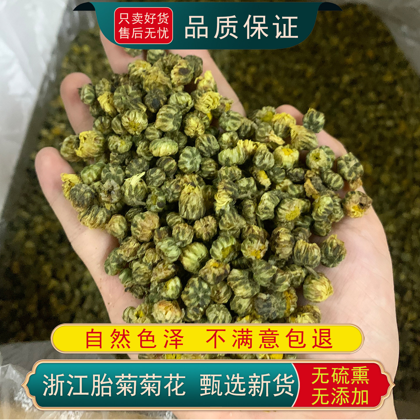 浙江杭白菊花正宗胎菊无硫干货小个泡水细粒煮茶桐乡菊花新货泡茶