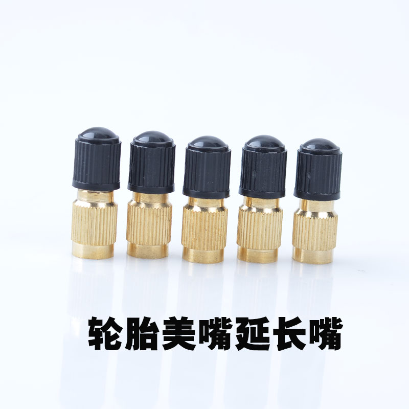 适用九号A35小牛MQI九号F90小牛SOI九号B65小牛F200美嘴延长嘴
