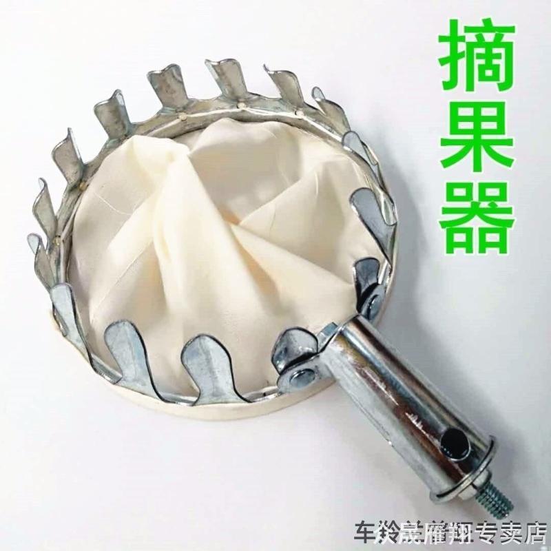 采摘水果橘子黄皮杨梅高空无花果枇杷苹果梨杨桃袋子香椿槐花桑葚