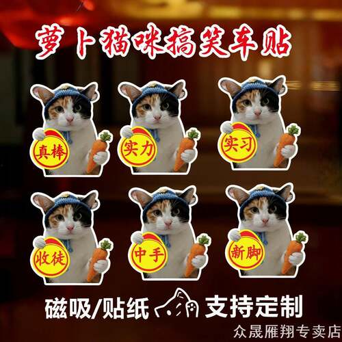 适用雷克萨斯沃尔沃萝卜纸巾猫车贴meme表情包创意新手实习贴