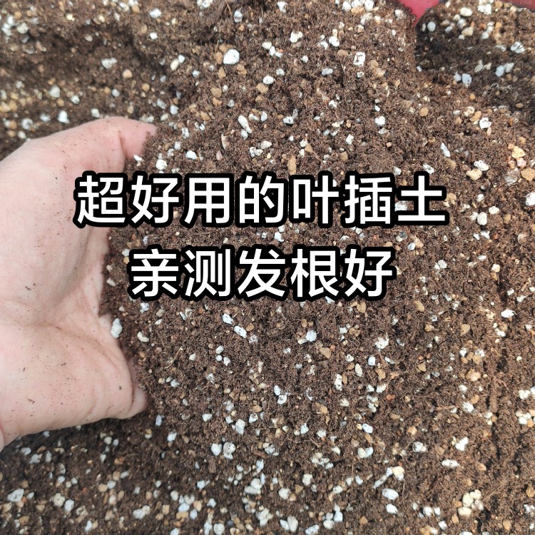 多肉叶插土植物专用育苗土小苗移栽土亲测好用放心拍-封面
