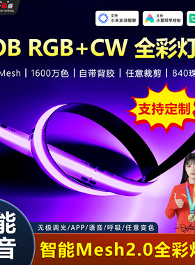 全光谱RGBCW智能灯带七彩＋白暖