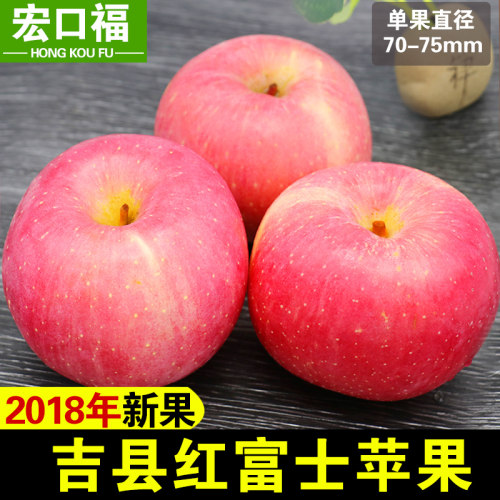 吉县苹果 产地直发