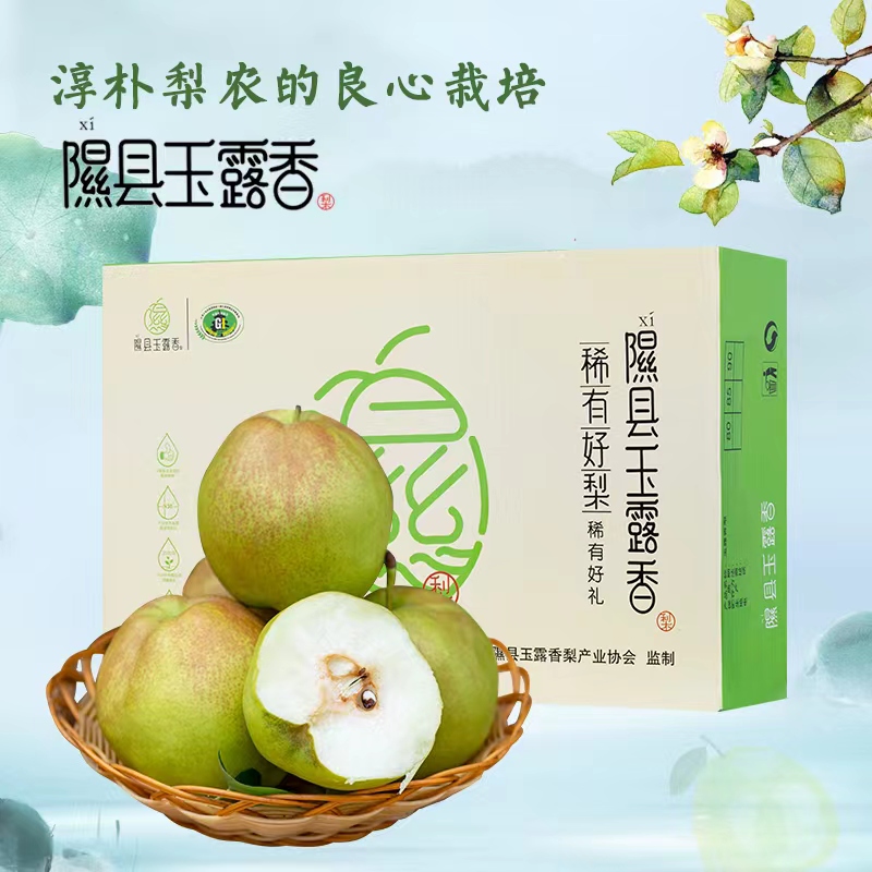 小西天隰县玉露香梨礼盒装顺丰