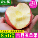 吉县丑苹果山西特产红富士壶口苹果新鲜水果脆甜冰糖心整箱 包邮