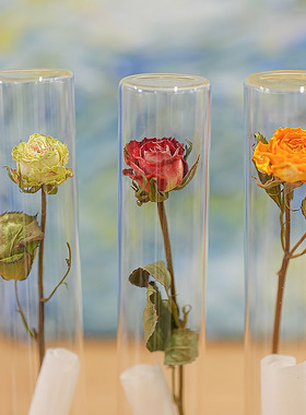 玻璃试管干花真花许愿瓶