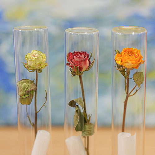 玻璃试管干花真花许愿瓶