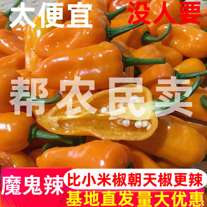 永安小黄辣椒福建泡椒小米辣剁椒新鲜特辣香辣农家正宗魔鬼椒500g,水产肉类/新鲜蔬果/熟食,辣椒,淘宝优惠券,粉丝福利购,淘宝优惠卷
