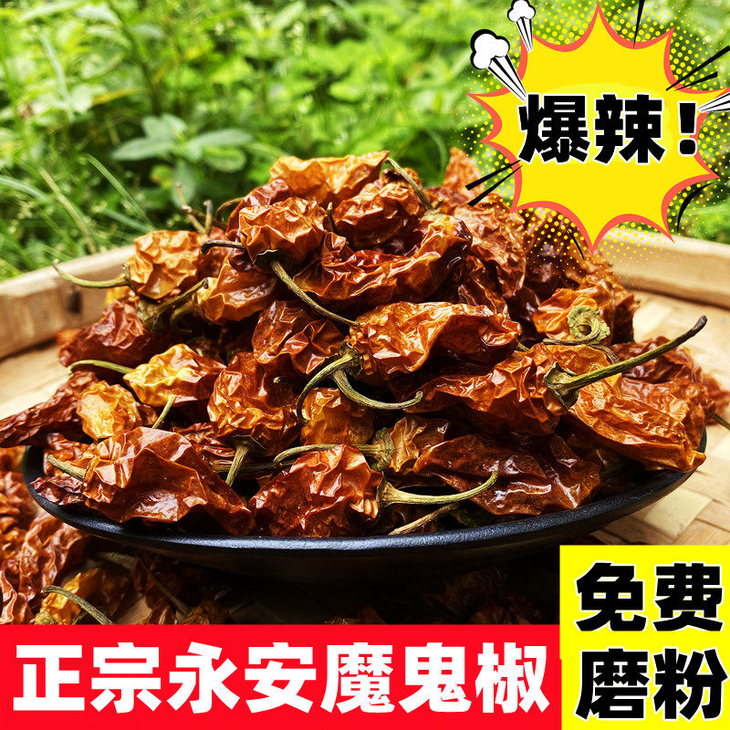 永安魔鬼椒干辣椒特辣特香超辣正宗变态黄魔鬼辣王段干货磨面蘸料
