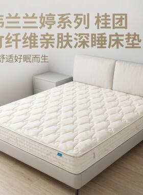 玮兰环保棕垫无甲醛软床垫包送货