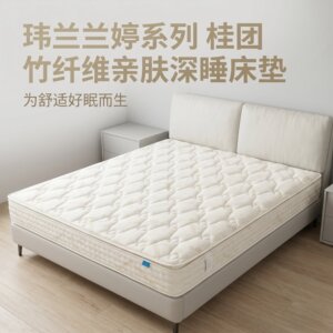 玮兰环保棕垫无甲醛软床垫包送货