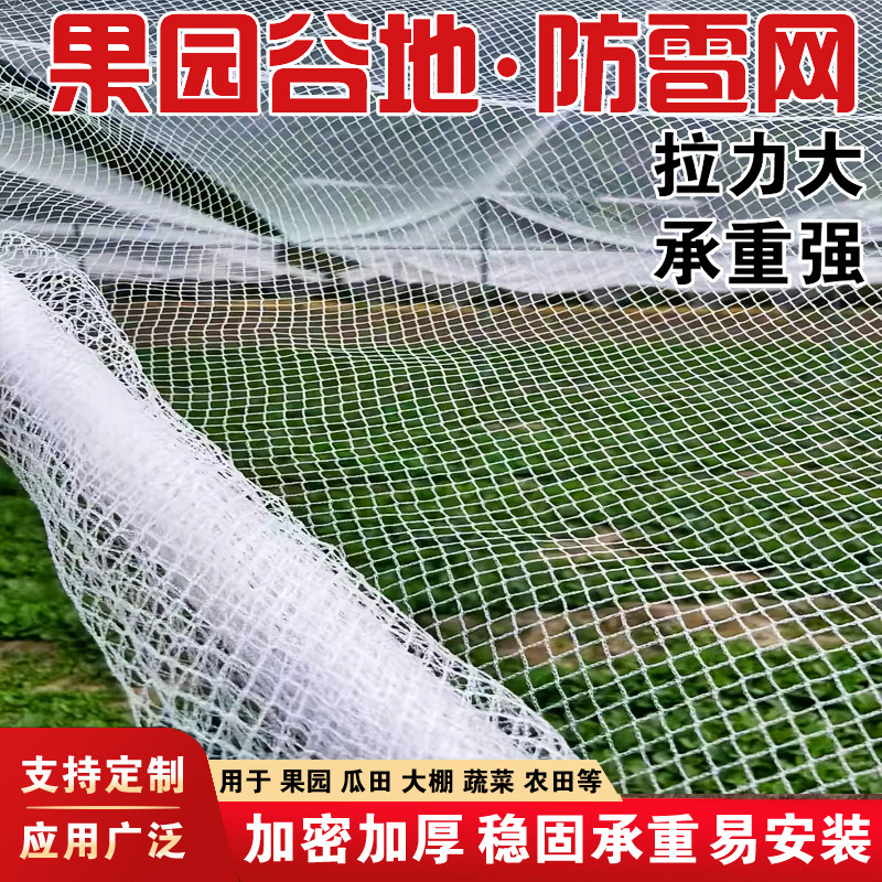 防雹网果园防鸟网葡萄网园艺耐晒抗老化防冰雹网加厚全新料包邮